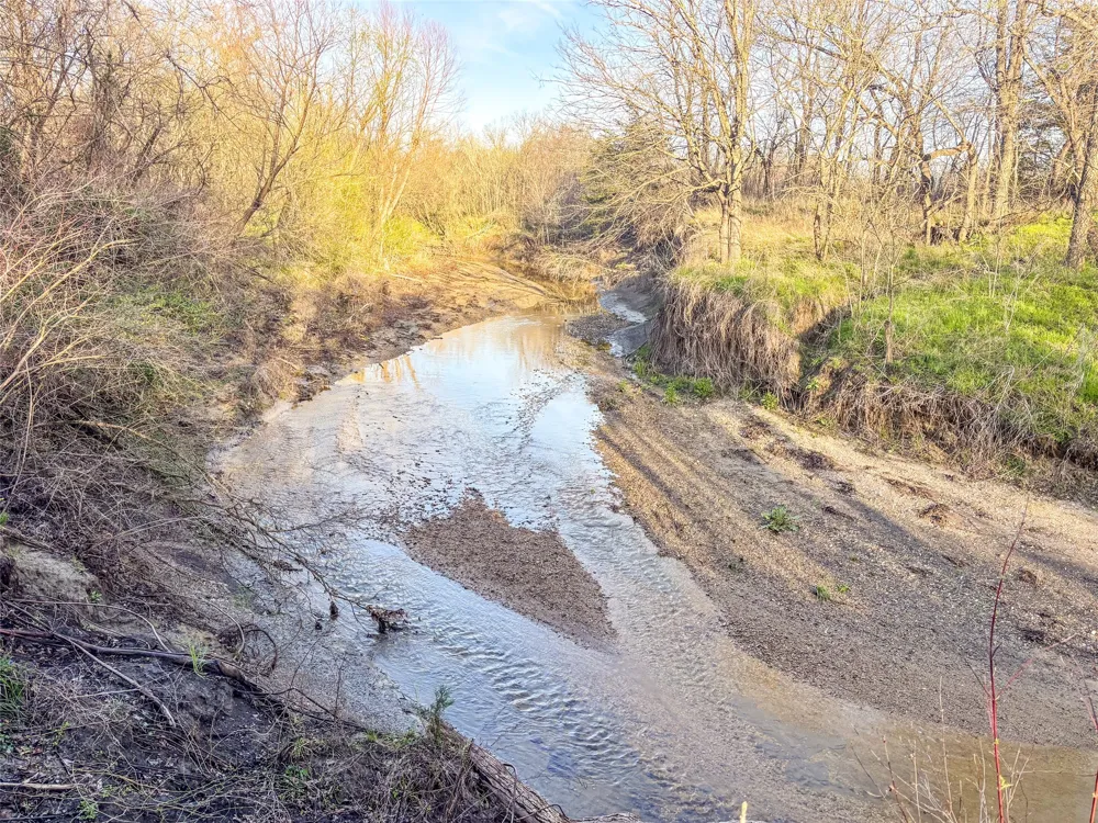 County Road 3550 Honey Grove, TX 75446