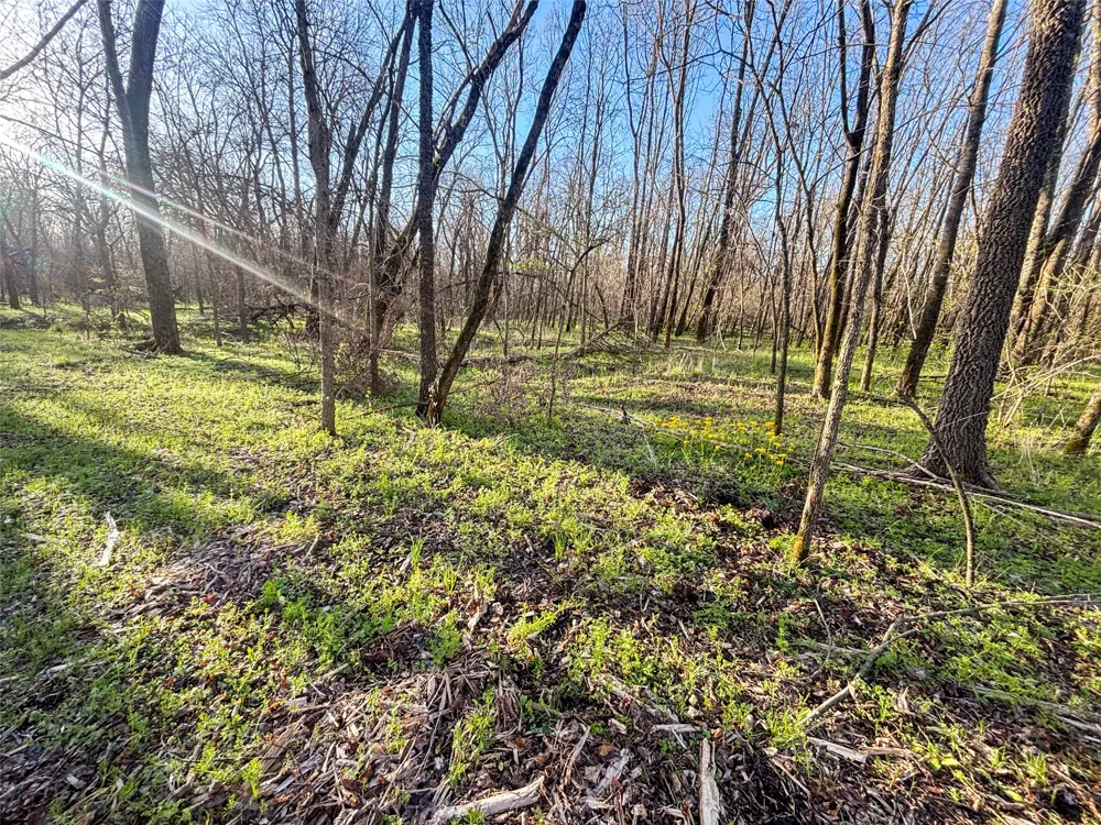 County Road 3550 Honey Grove, TX 75446