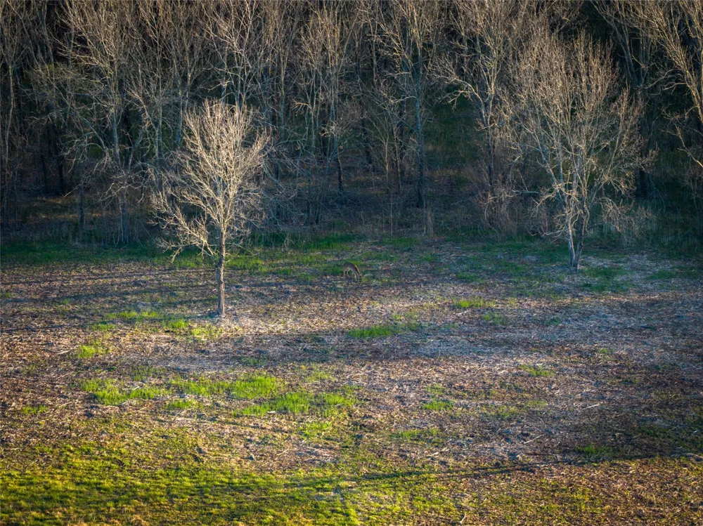 County Road 3550 Honey Grove, TX 75446