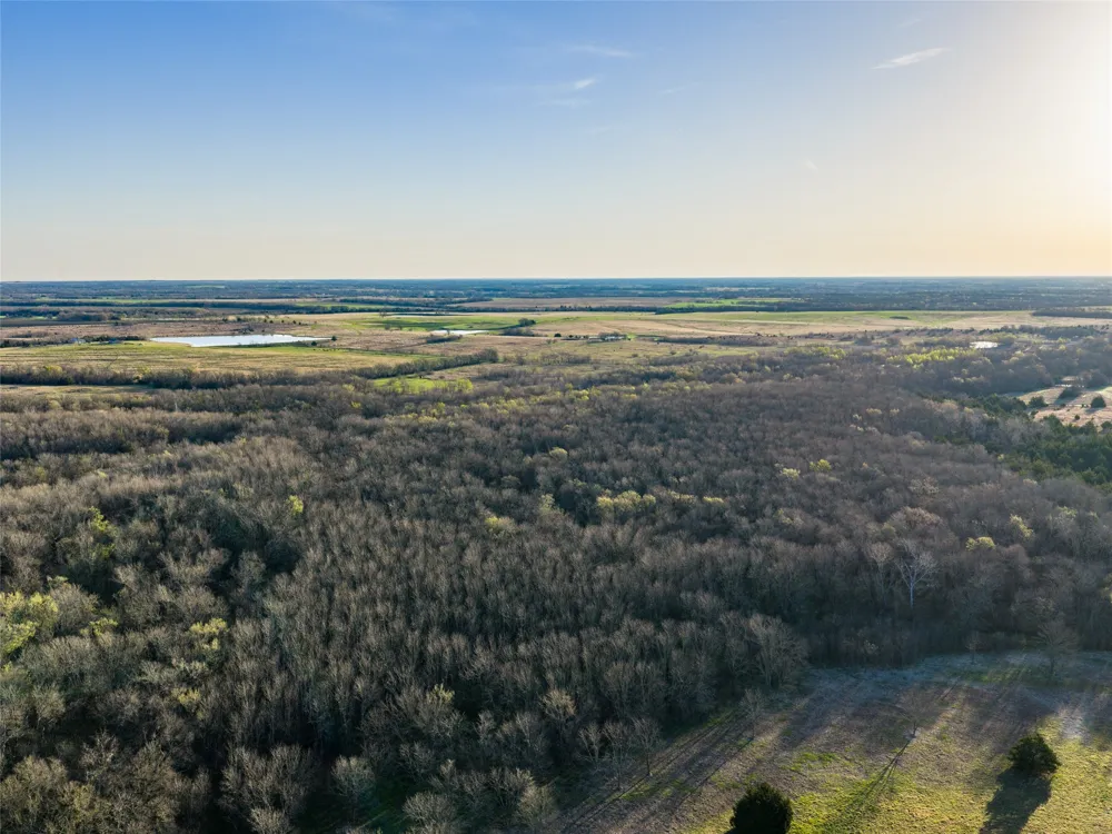 County Road 3550 Honey Grove, TX 75446