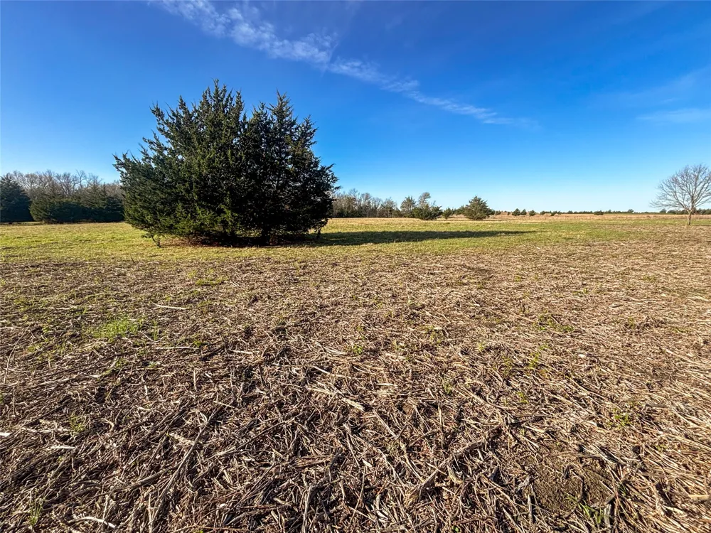 County Road 3550 Honey Grove, TX 75446