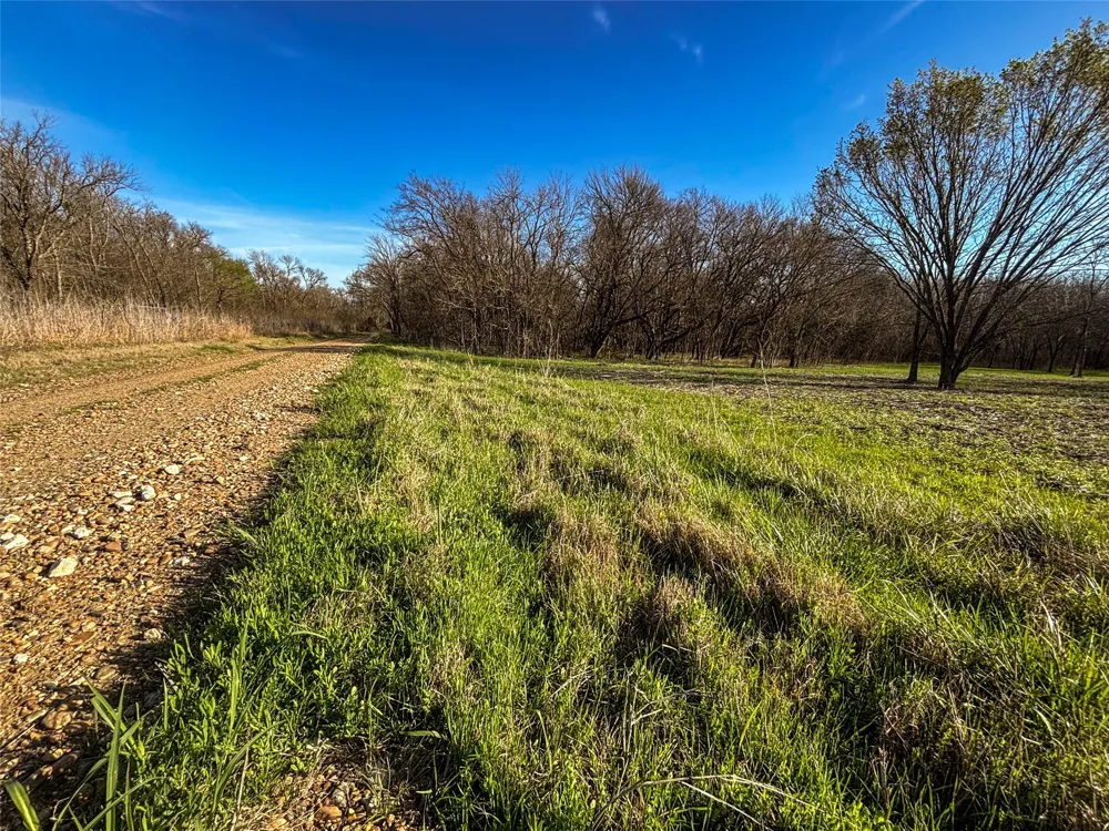 County Road 3550 Honey Grove, TX 75446