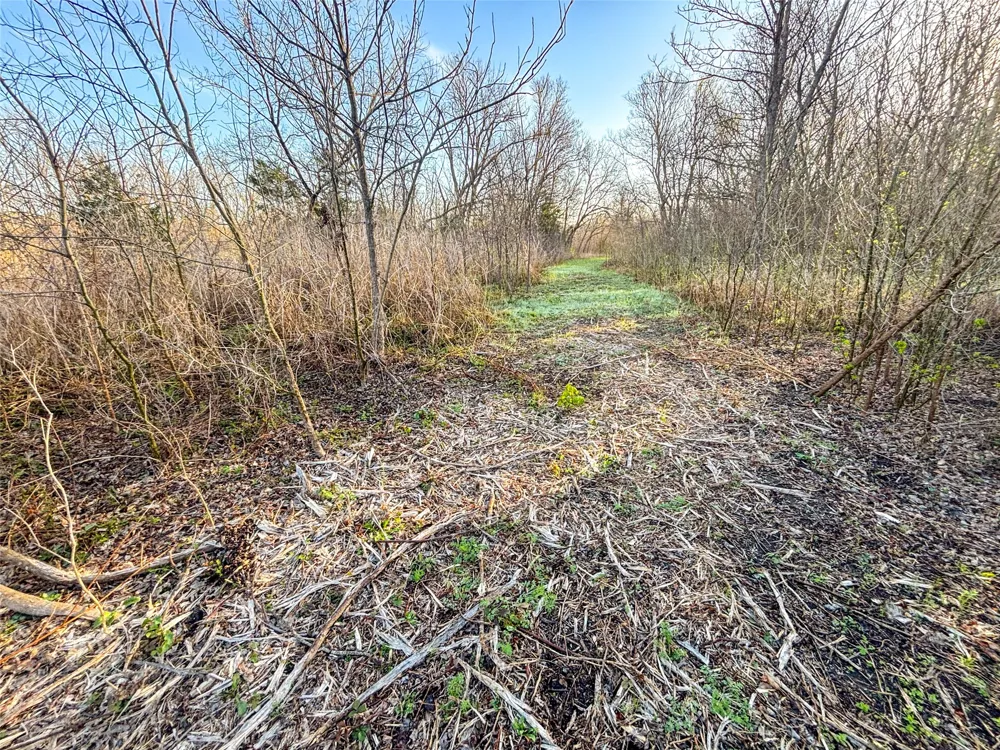 County Road 3550 Honey Grove, TX 75446