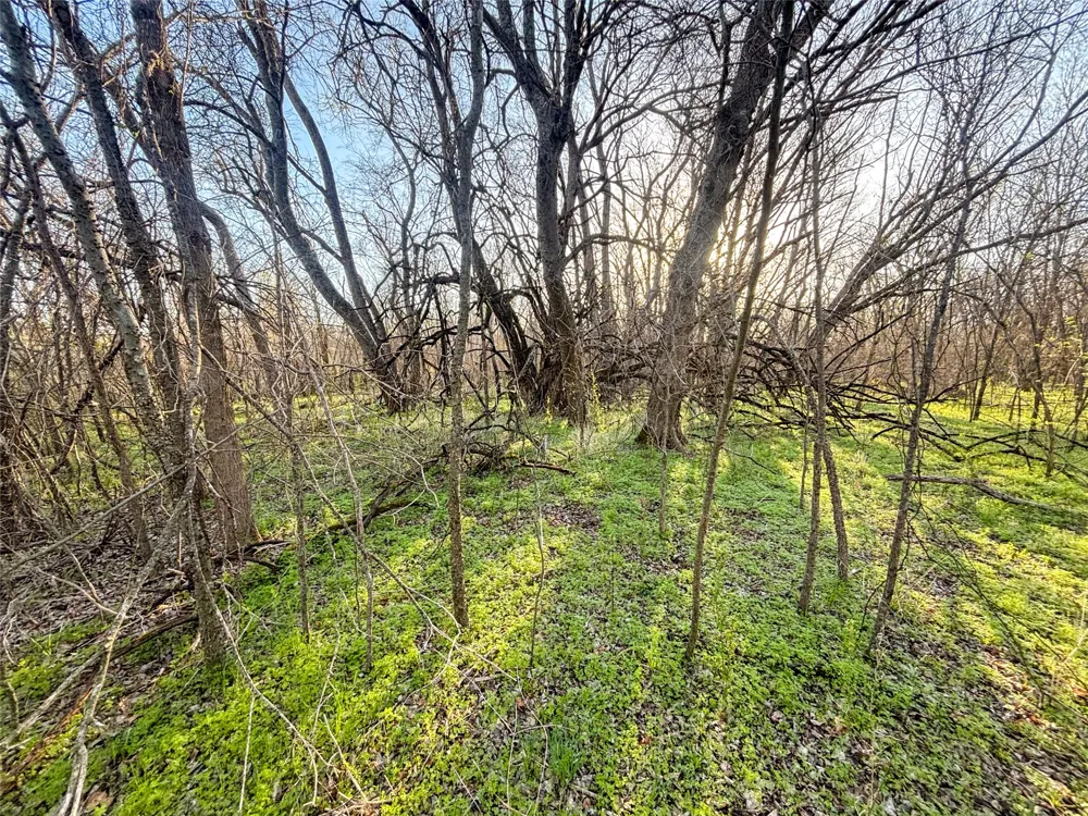 County Road 3550 Honey Grove, TX 75446