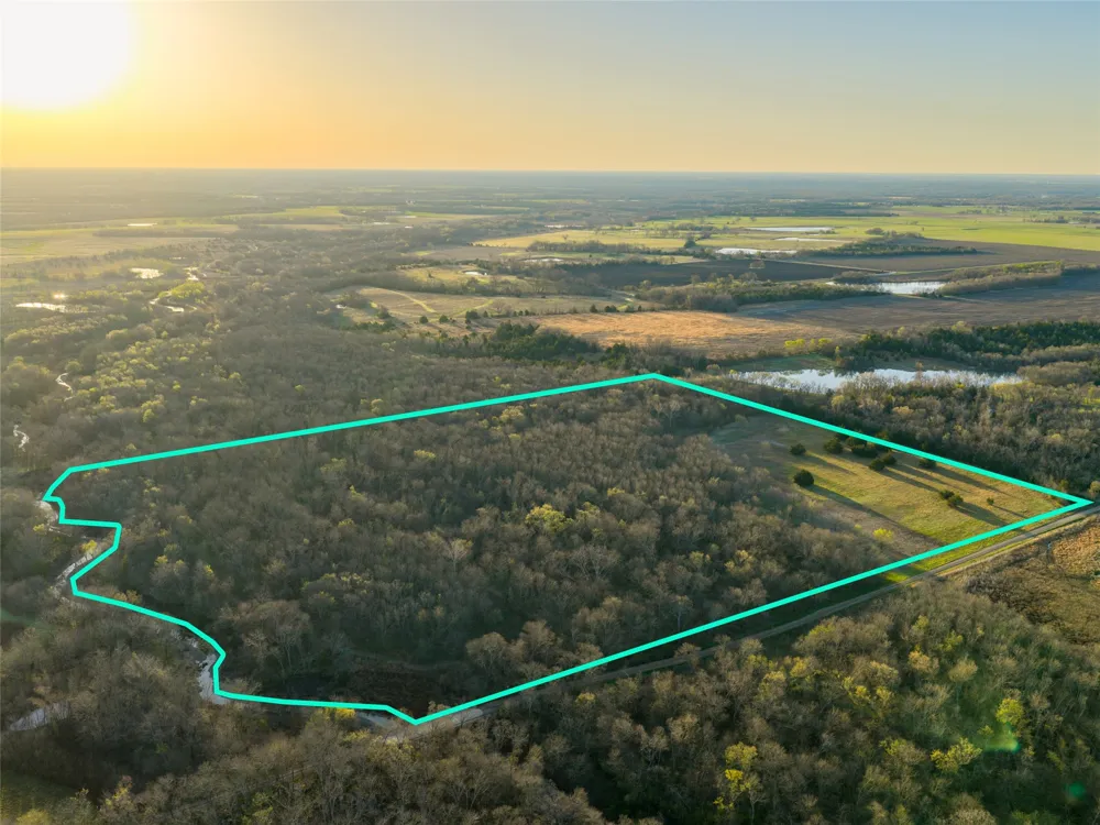 County Road 3550 Honey Grove, TX 75446