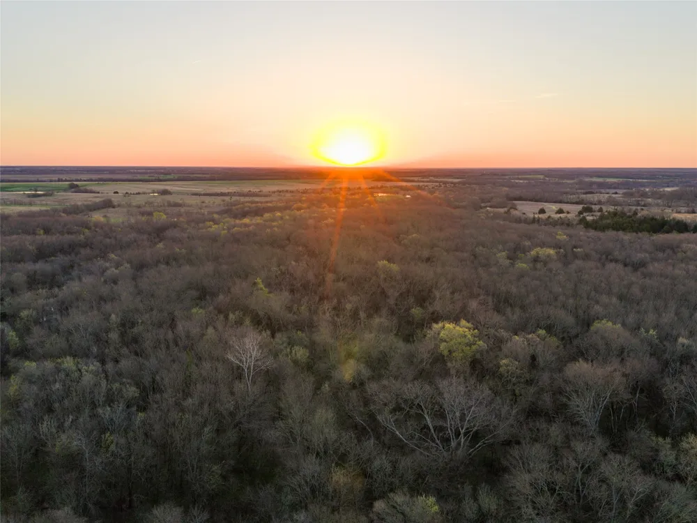 County Road 3550 Honey Grove, TX 75446