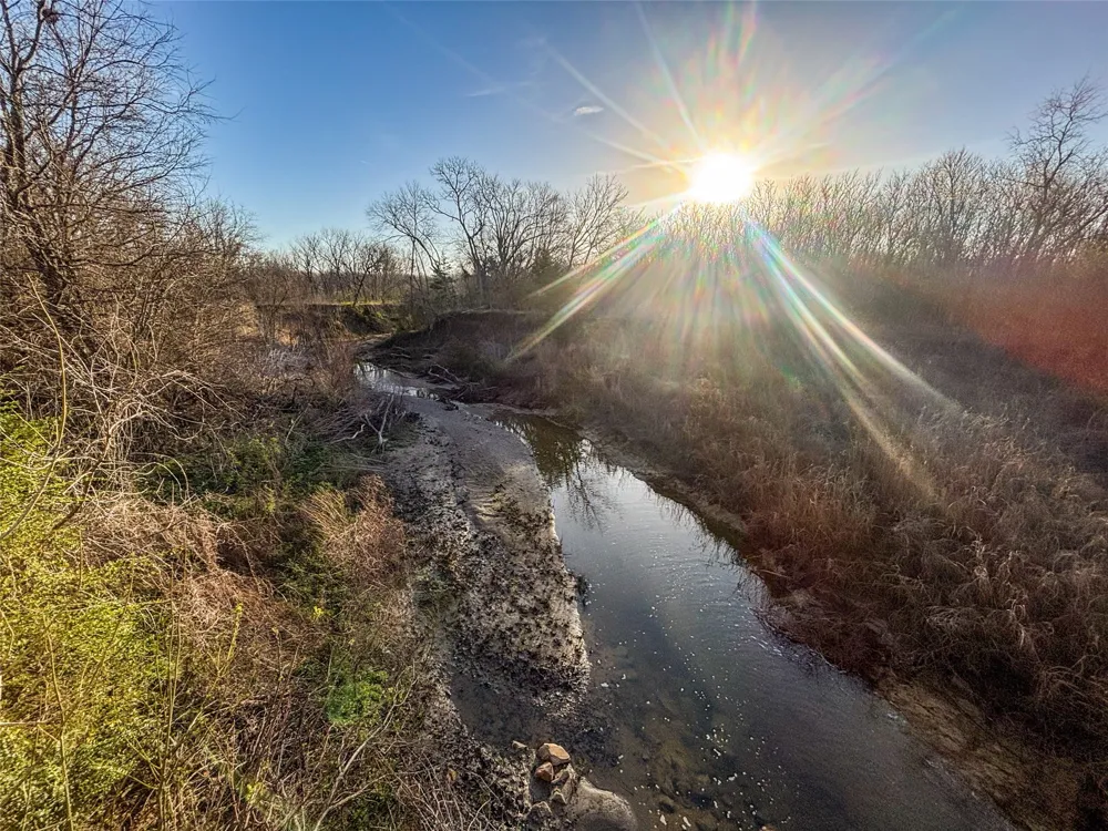 County Road 3550 Honey Grove, TX 75446