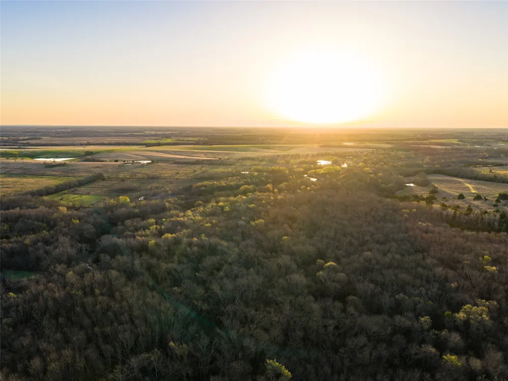 County Road 3550 Honey Grove, TX 75446