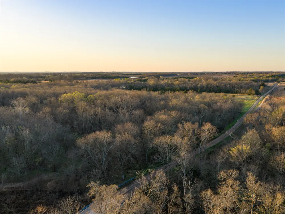 County Road 3550 Honey Grove, TX 75446