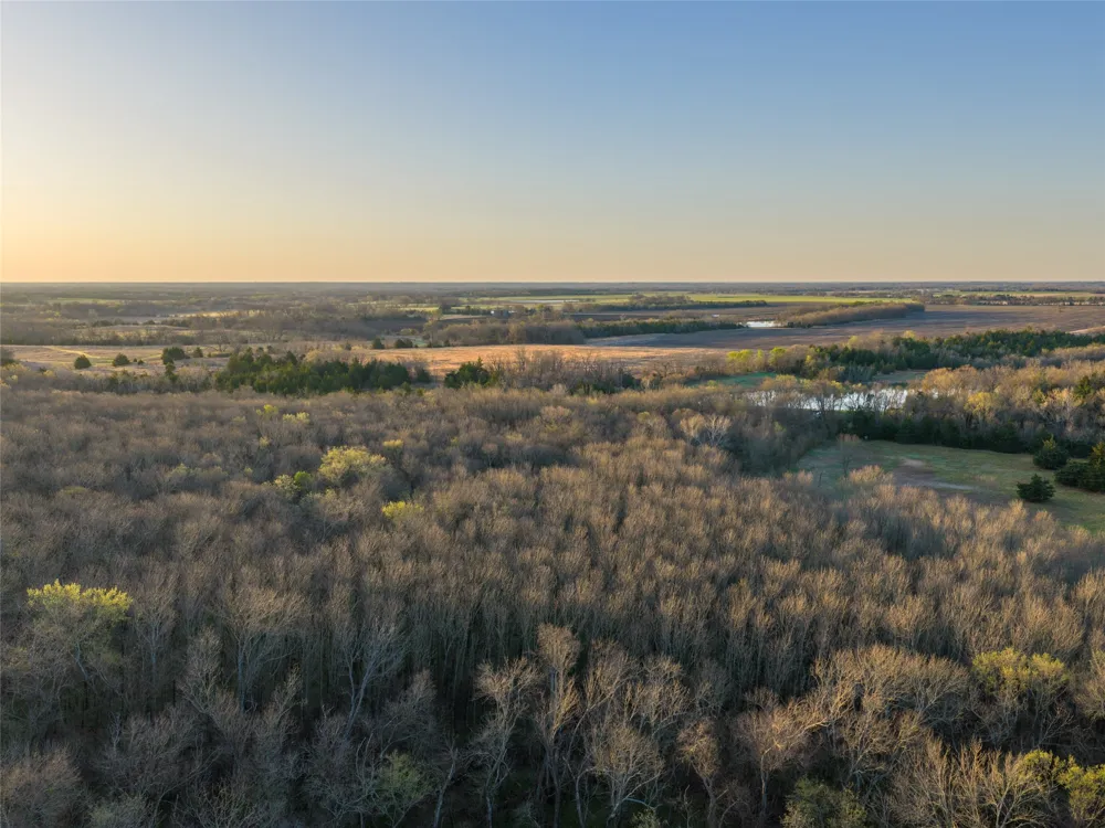 County Road 3550 Honey Grove, TX 75446