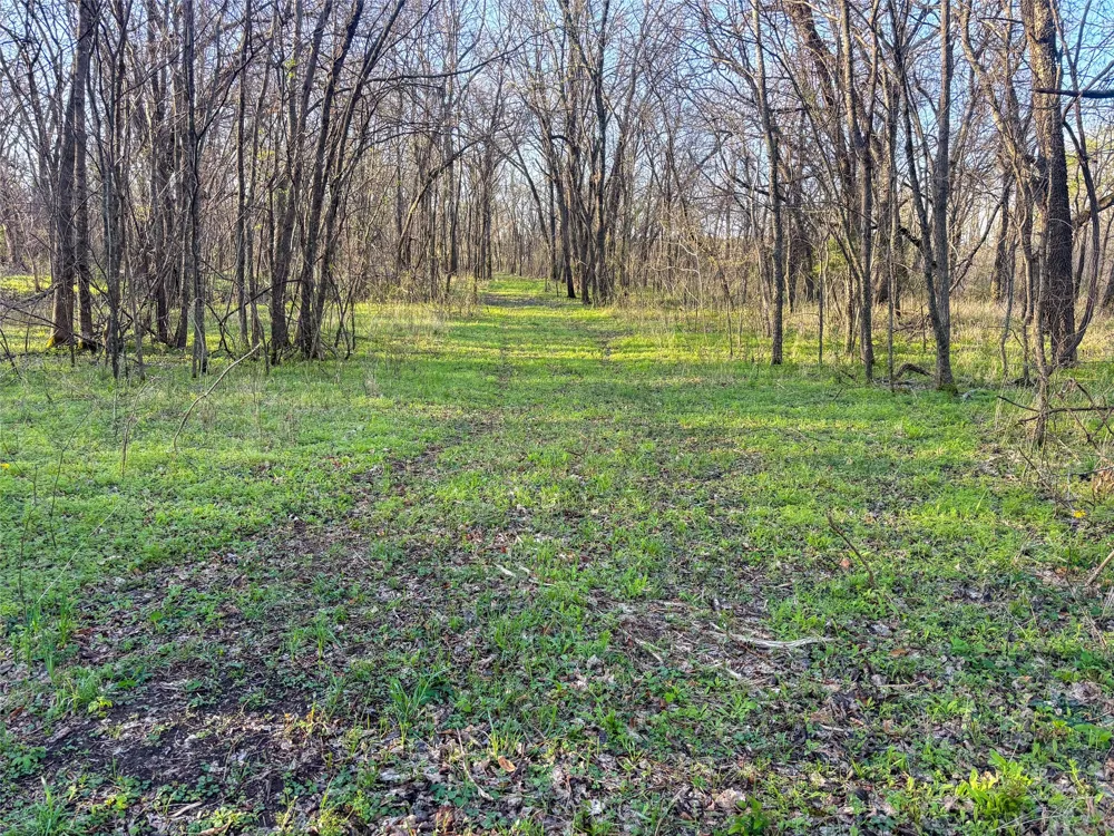 County Road 3550 Honey Grove, TX 75446