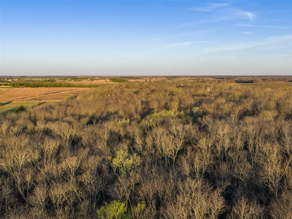 County Road 3550 Honey Grove, TX 75446
