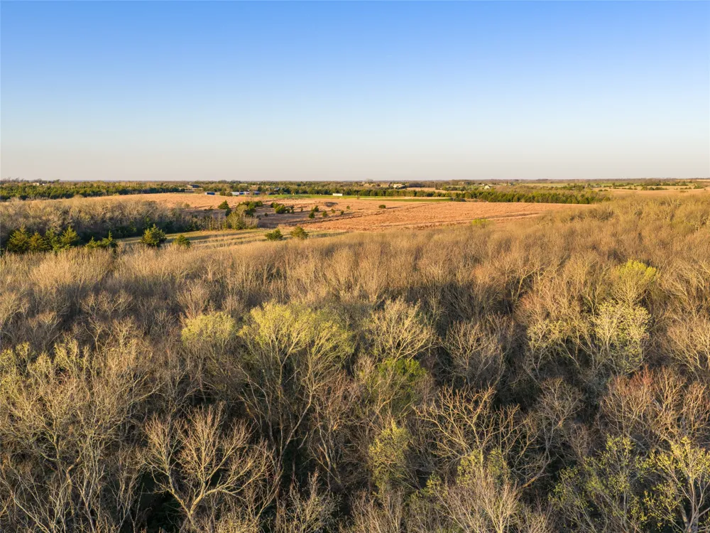County Road 3550 Honey Grove, TX 75446