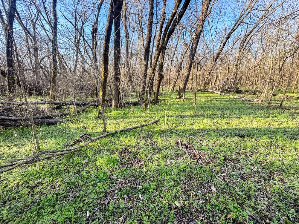County Road 3550 Honey Grove, TX 75446