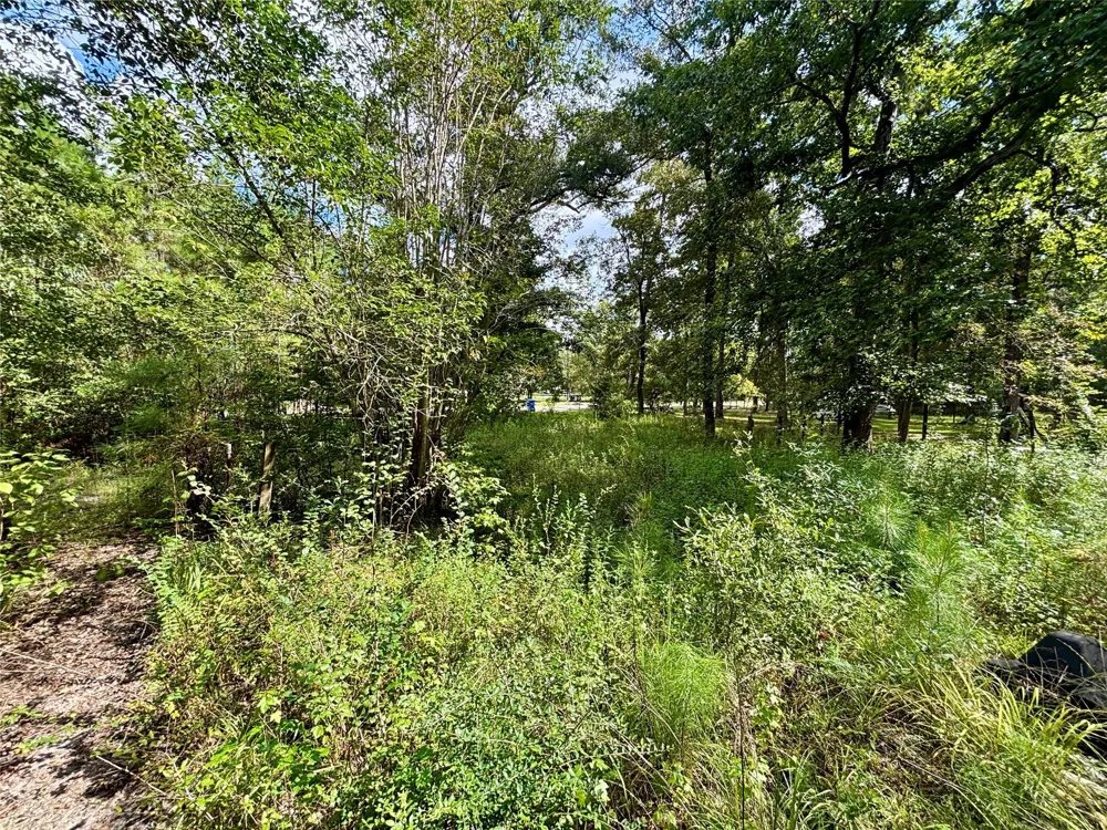 8560 County Line Road Willis, TX 77378