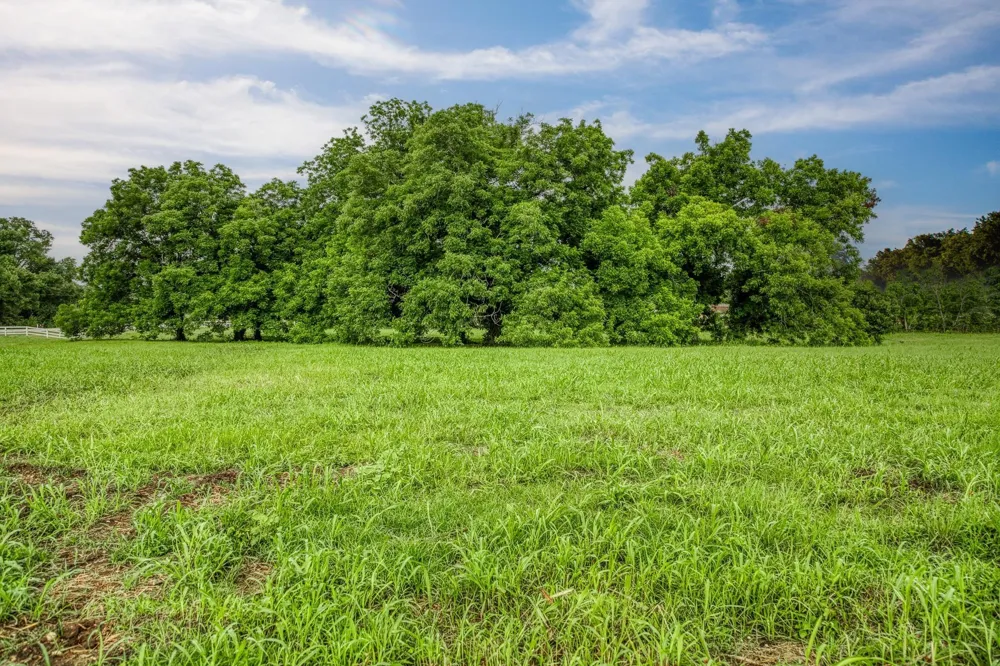 16401 Fm 1155 E Washington, TX 77880