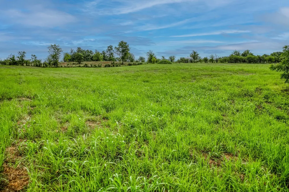 16401 Fm 1155 E Washington, TX 77880