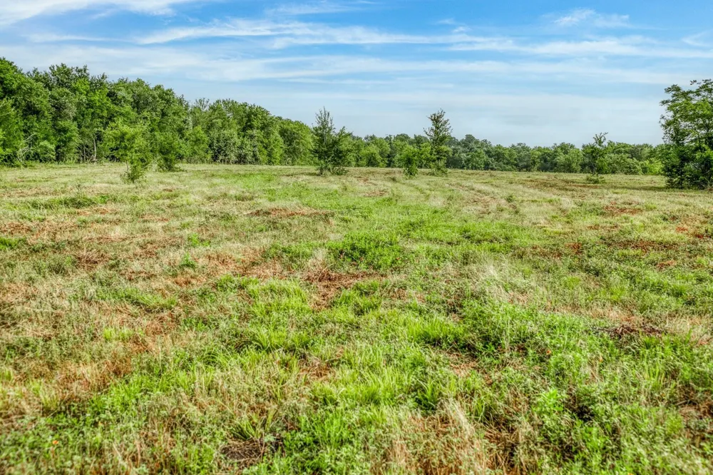 16401 Fm 1155 E Washington, TX 77880