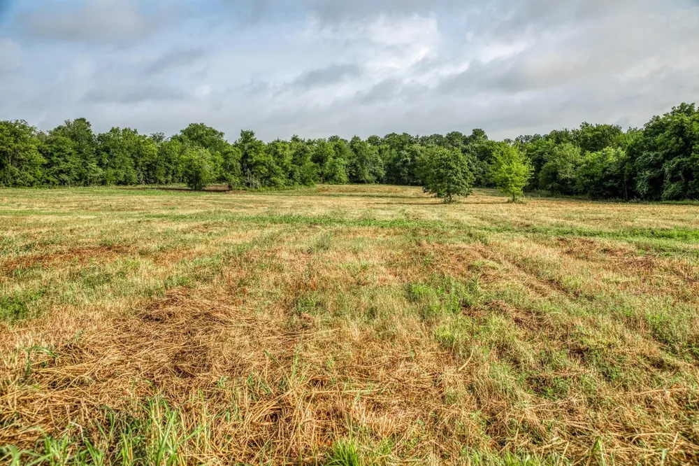 16401 Fm 1155 E Washington, TX 77880