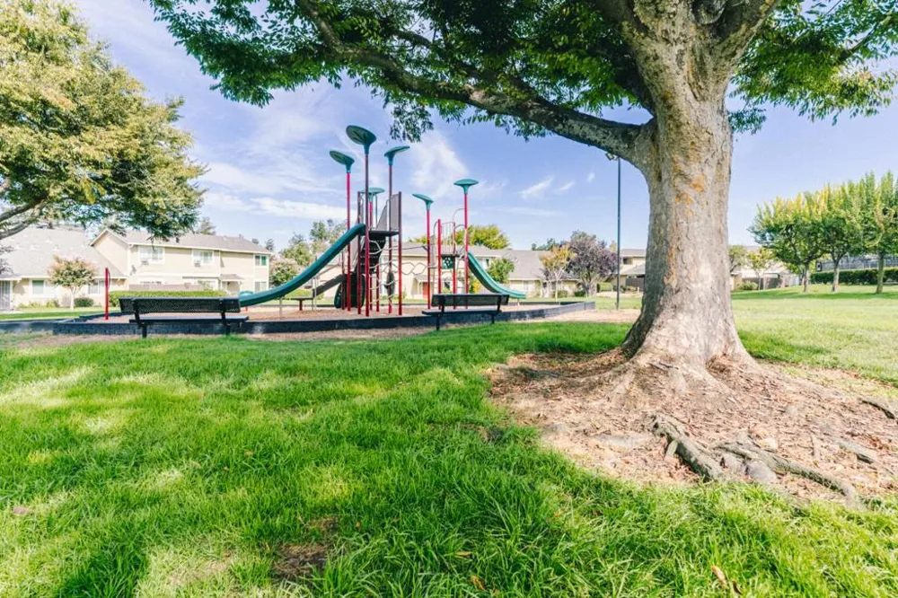 2227 Warfield Way #B San Jose, CA 95122