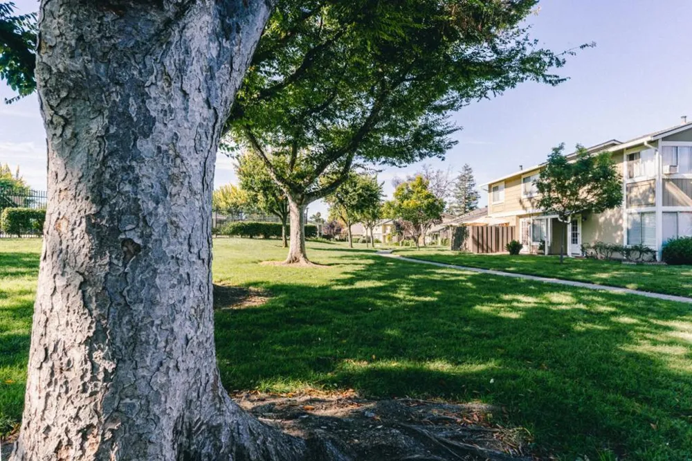 2227 Warfield Way #B San Jose, CA 95122