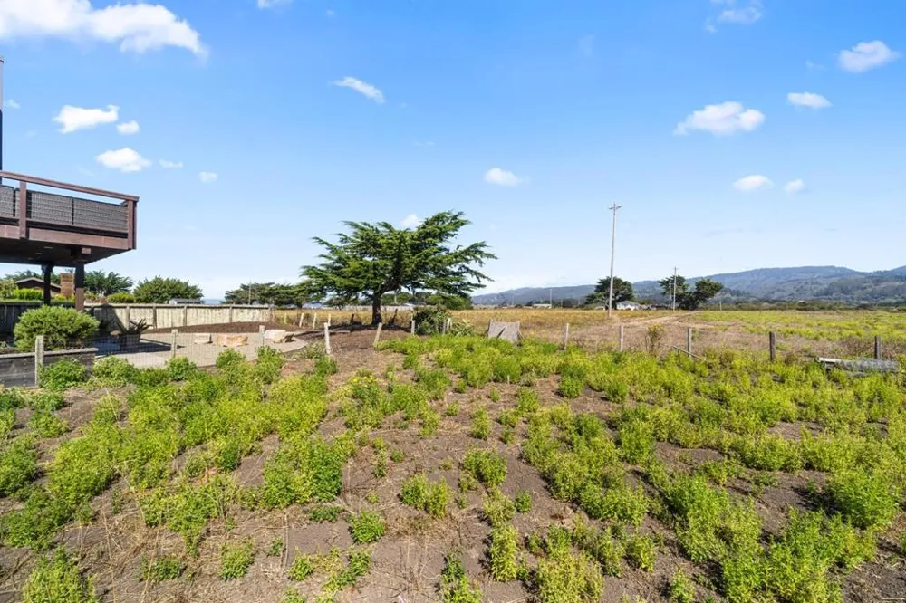 147 Kelly Avenue Half Moon Bay, CA 94019