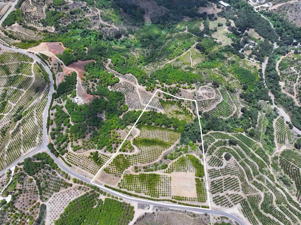 45481 Camaron Road Temecula, CA 92590