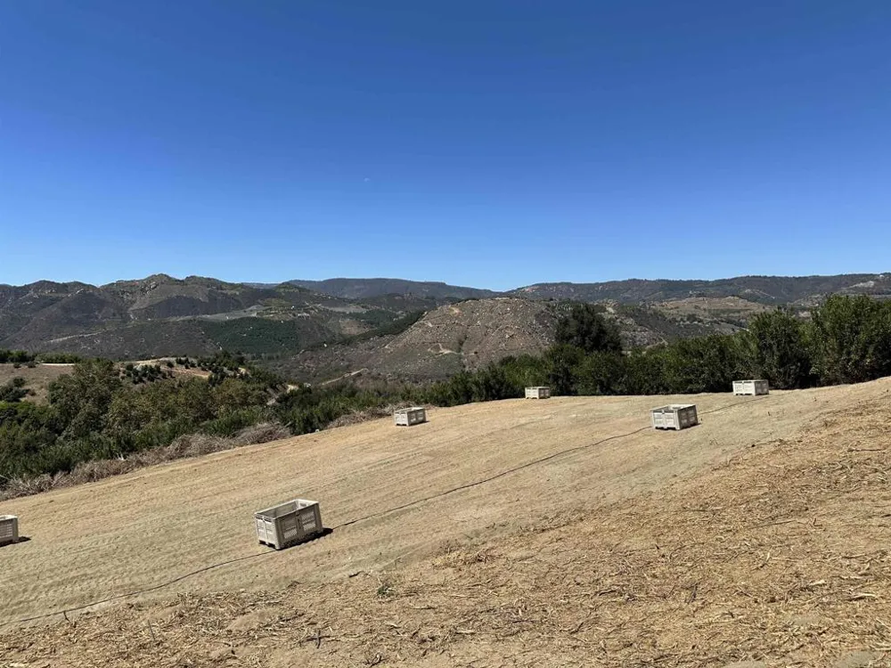 45481 Camaron Road Temecula, CA 92590