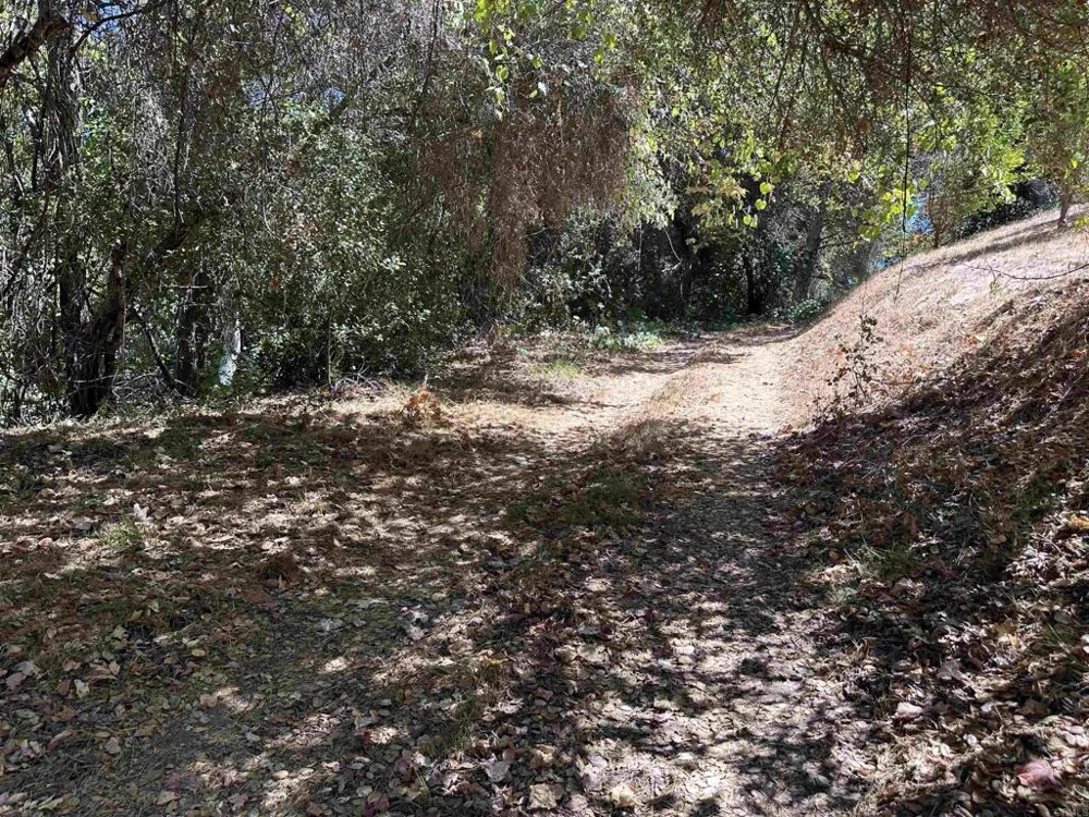 45481 Camaron Road Temecula, CA 92590