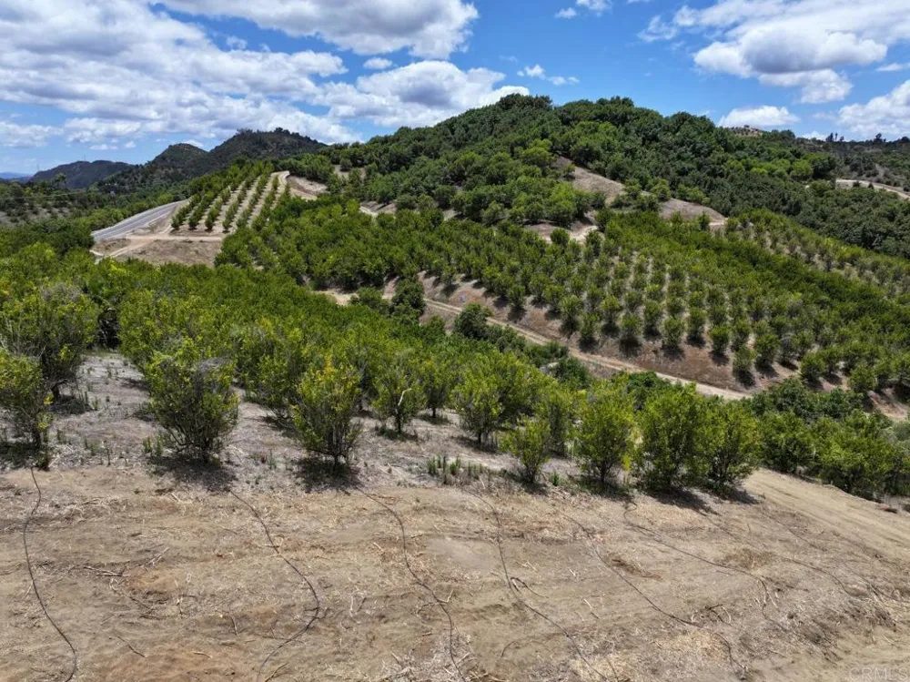 45481 Camaron Road Temecula, CA 92590