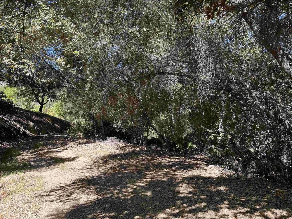 45481 Camaron Road Temecula, CA 92590