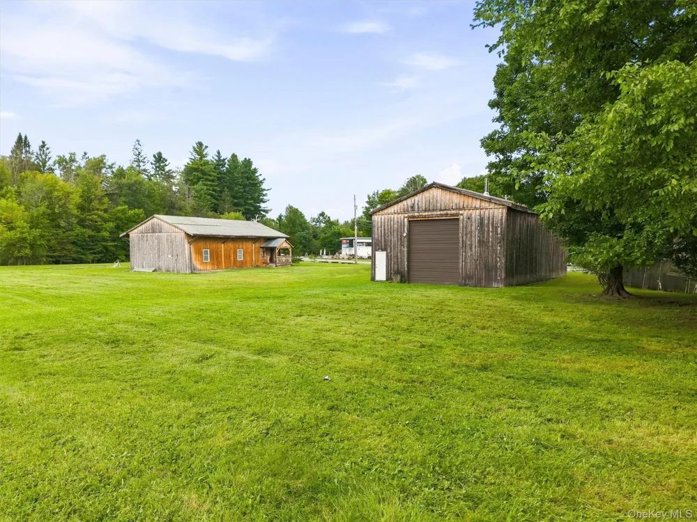 9 Creamery Road Livingston Manor, NY 12758
