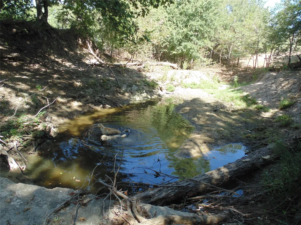699 County Road 260 Gustine, TX 76455