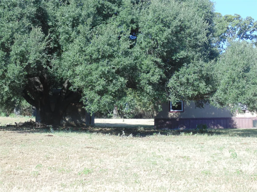 699 County Road 260 Gustine, TX 76455