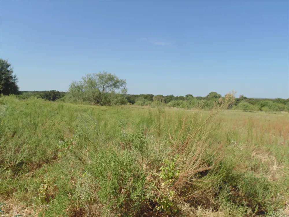 699 County Road 260 Gustine, TX 76455