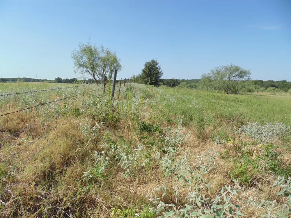 699 County Road 260 Gustine, TX 76455