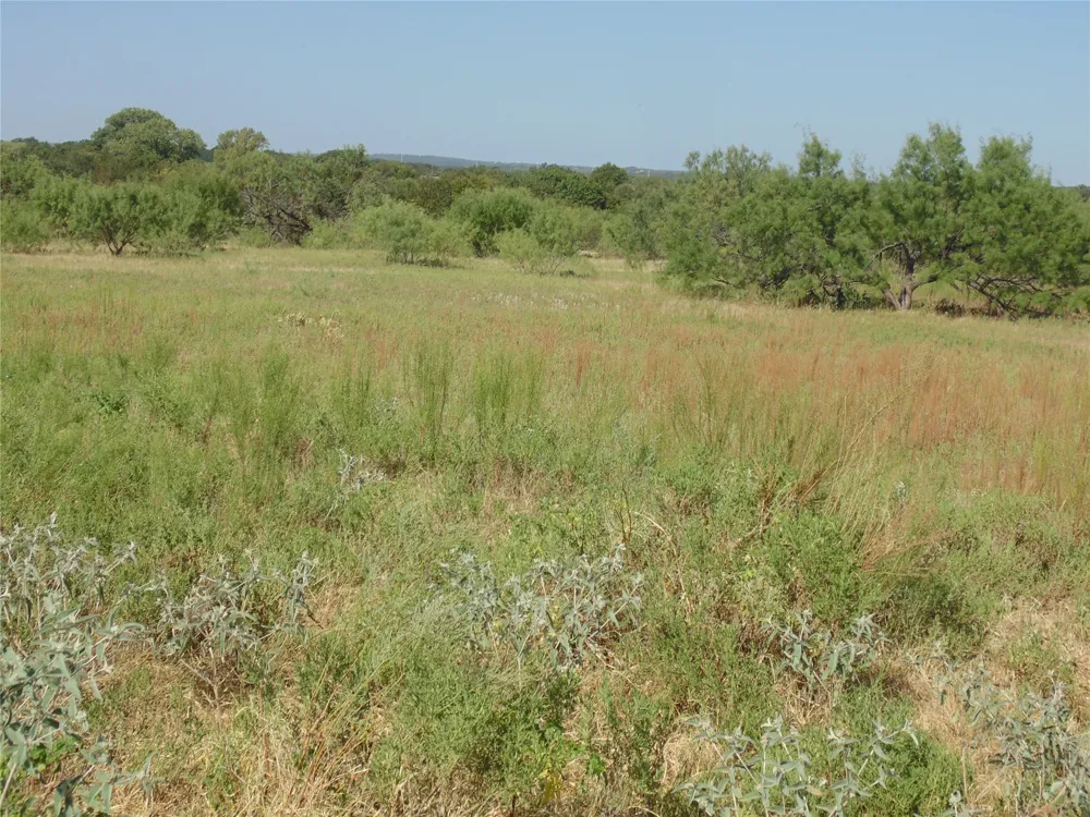 699 County Road 260 Gustine, TX 76455