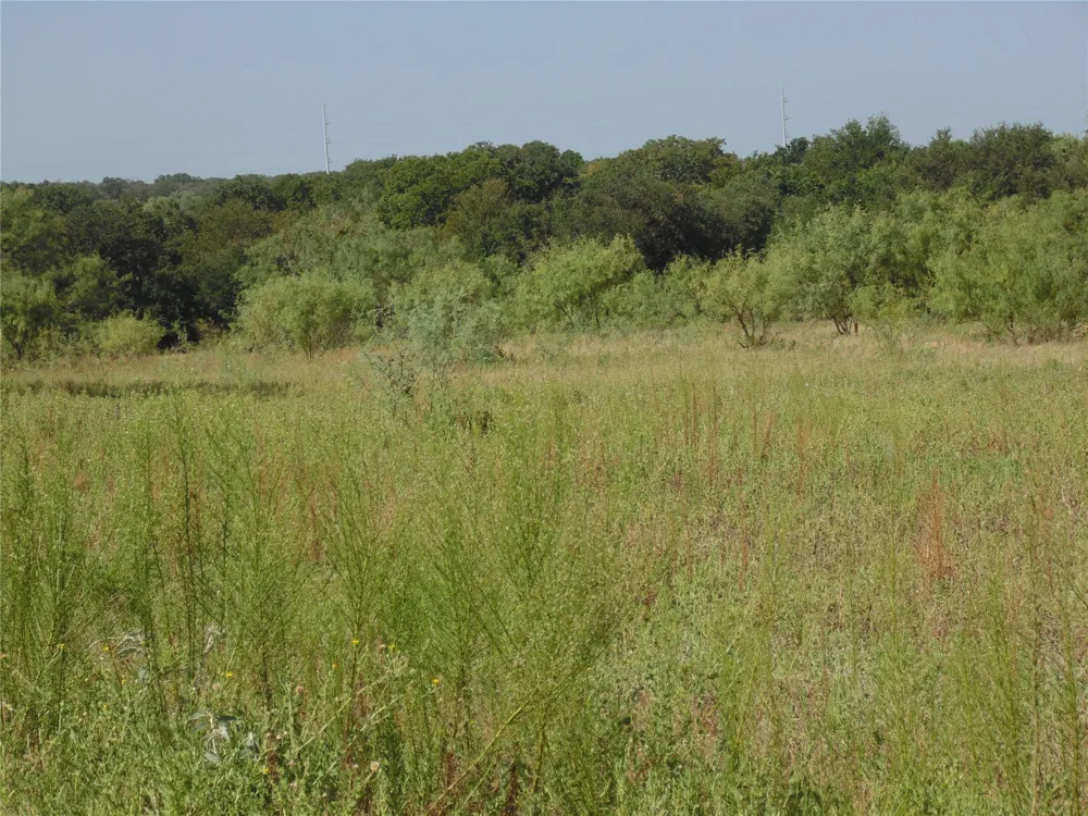 699 County Road 260 Gustine, TX 76455