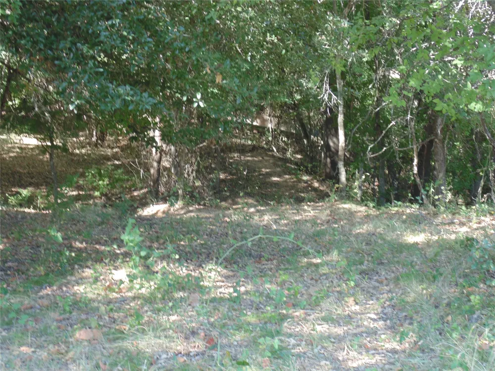 699 County Road 260 Gustine, TX 76455