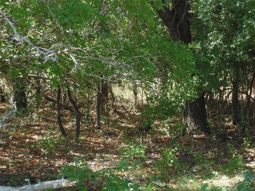 699 County Road 260 Gustine, TX 76455