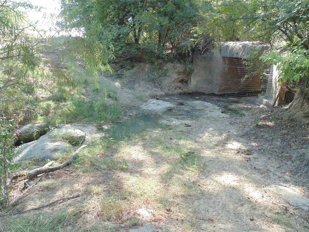 699 County Road 260 Gustine, TX 76455