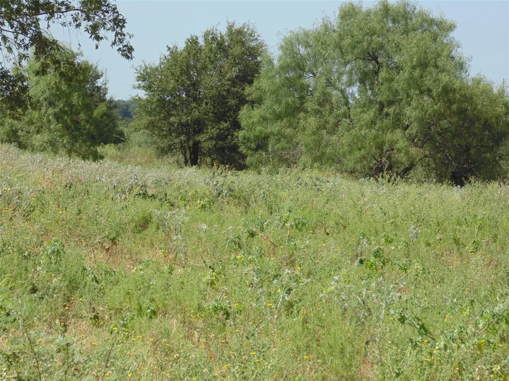 699 County Road 260 Gustine, TX 76455