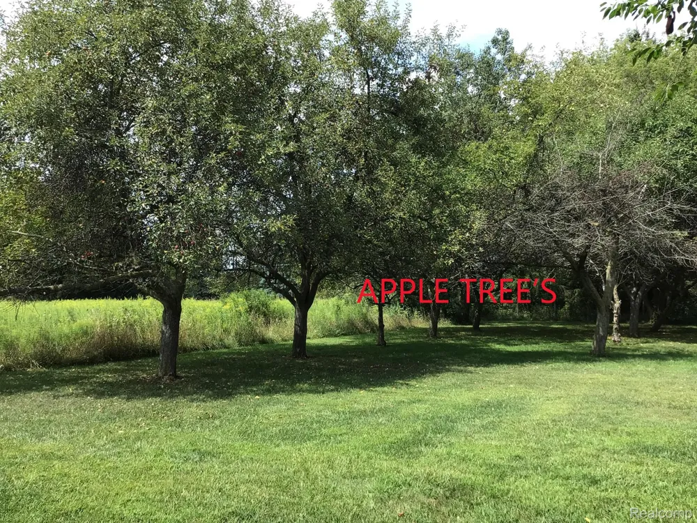 4489 Oak Road Richfield Township, MI 48423