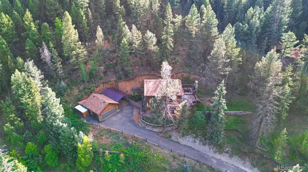961 Roland Drive Bailey, CO 80421