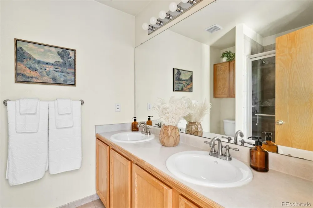 9503 Castle Ridge Circle Highlands Ranch, CO 80129