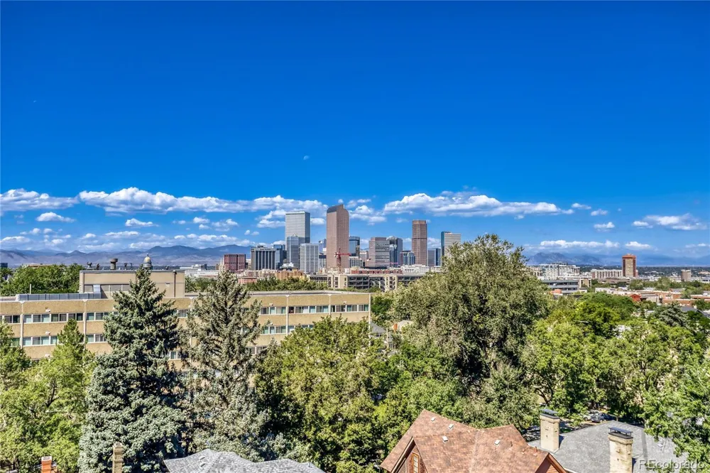 1313 Williams Street #801 Denver, CO 80218
