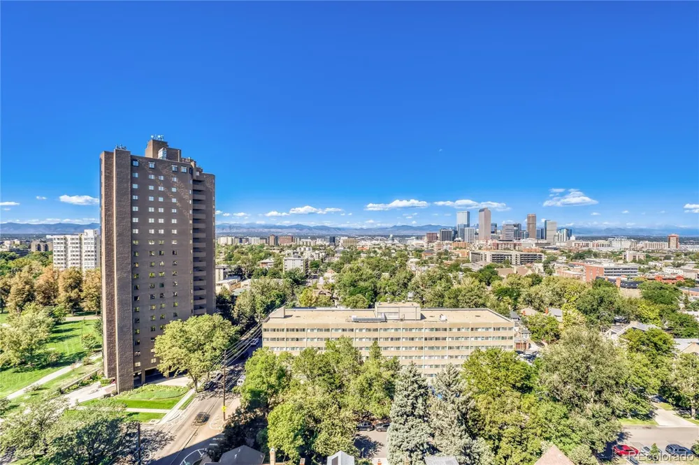 1313 Williams Street #801 Denver, CO 80218