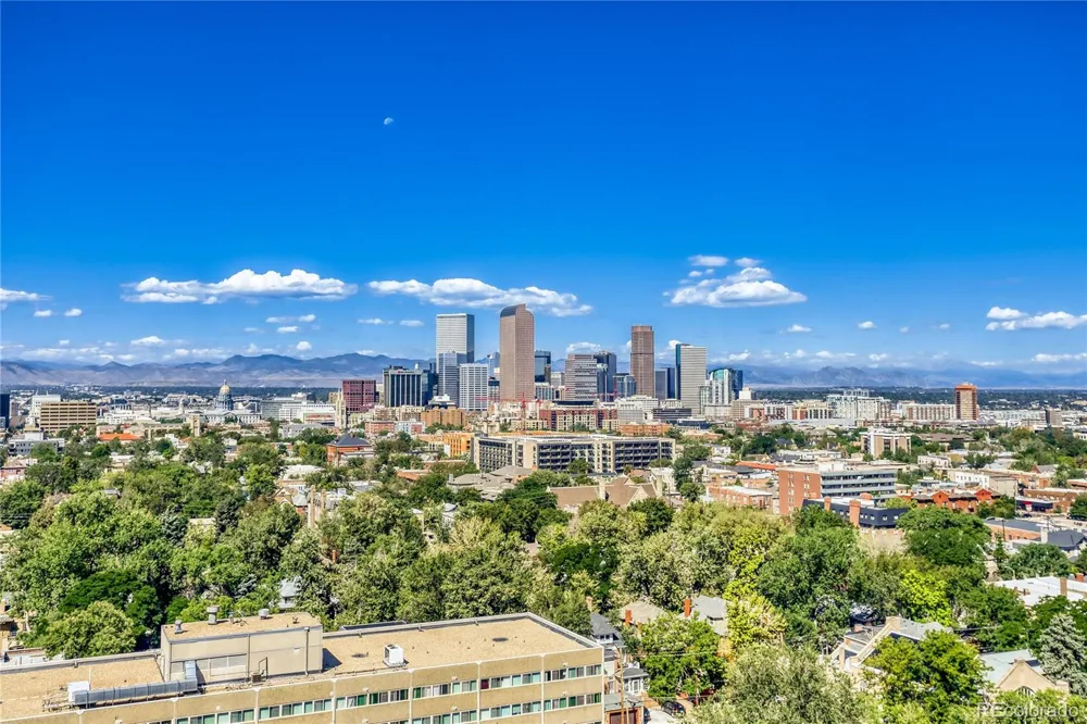 1313 Williams Street #801 Denver, CO 80218