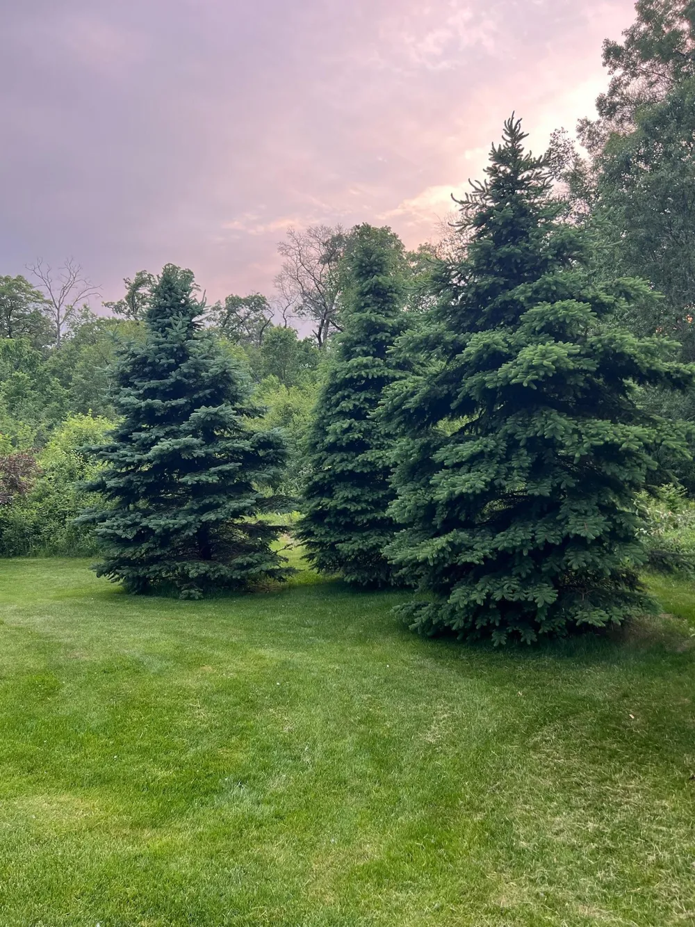 1430 25th Street Houlton, WI 54082