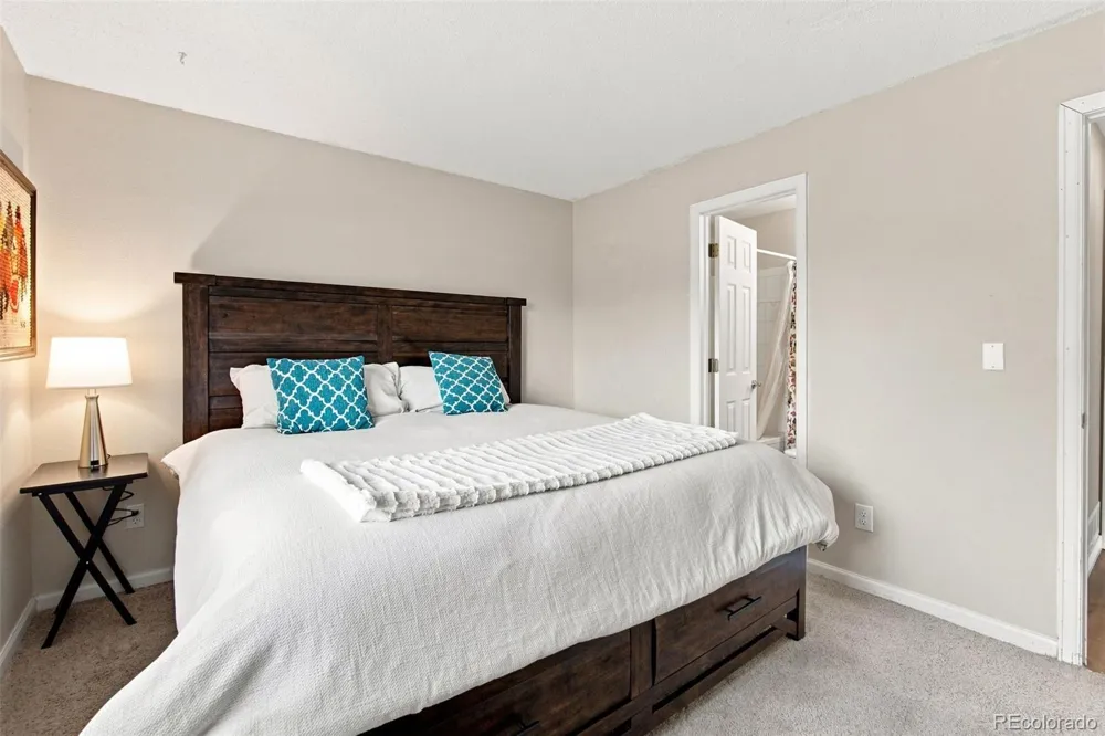 57 S Quicksilver Avenue Castle Rock, CO 80104